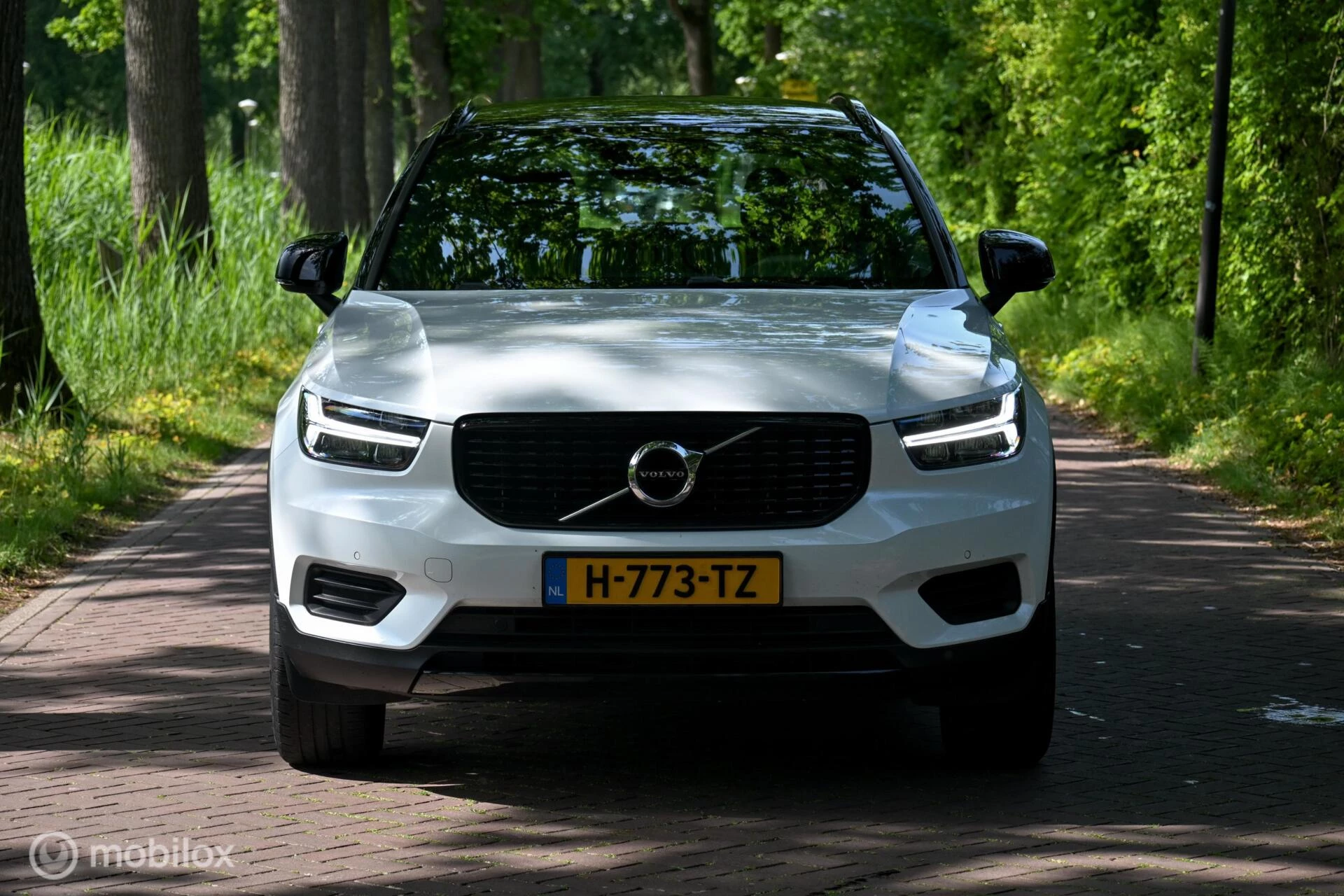 Hoofdafbeelding Volvo XC40