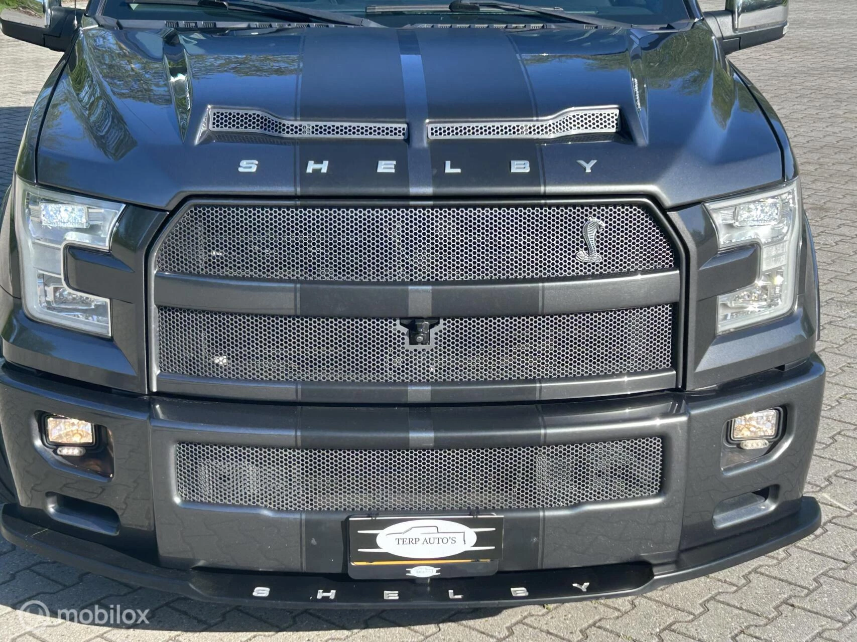 Hoofdafbeelding Ford F-150