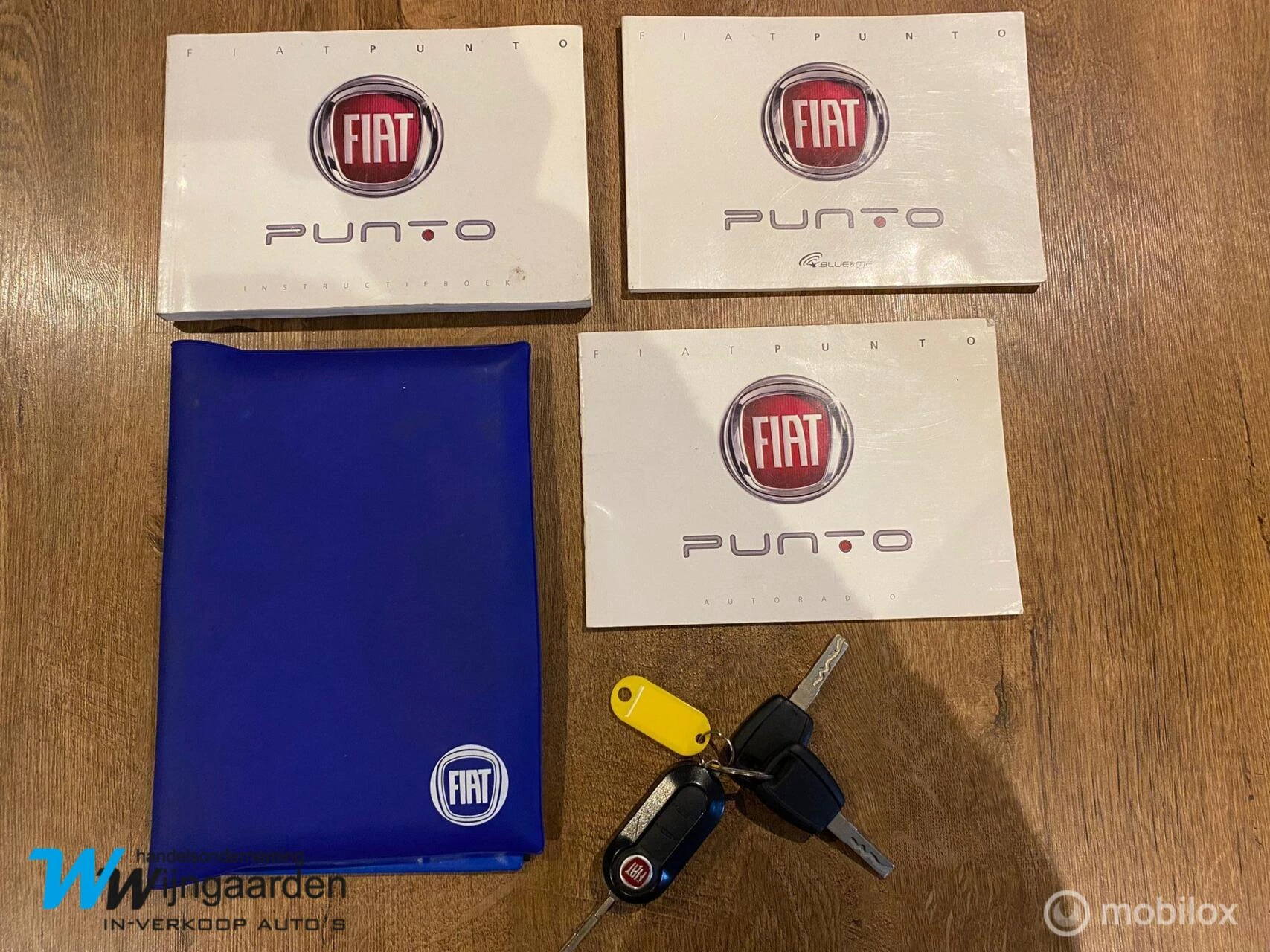 Hoofdafbeelding Fiat Punto