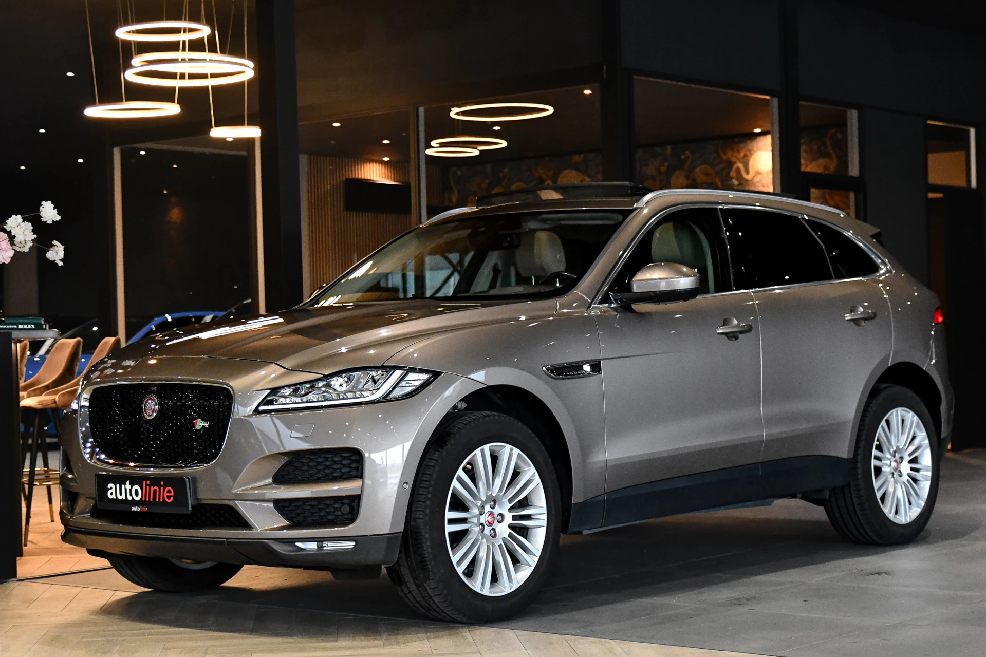 Hoofdafbeelding Jaguar F-PACE