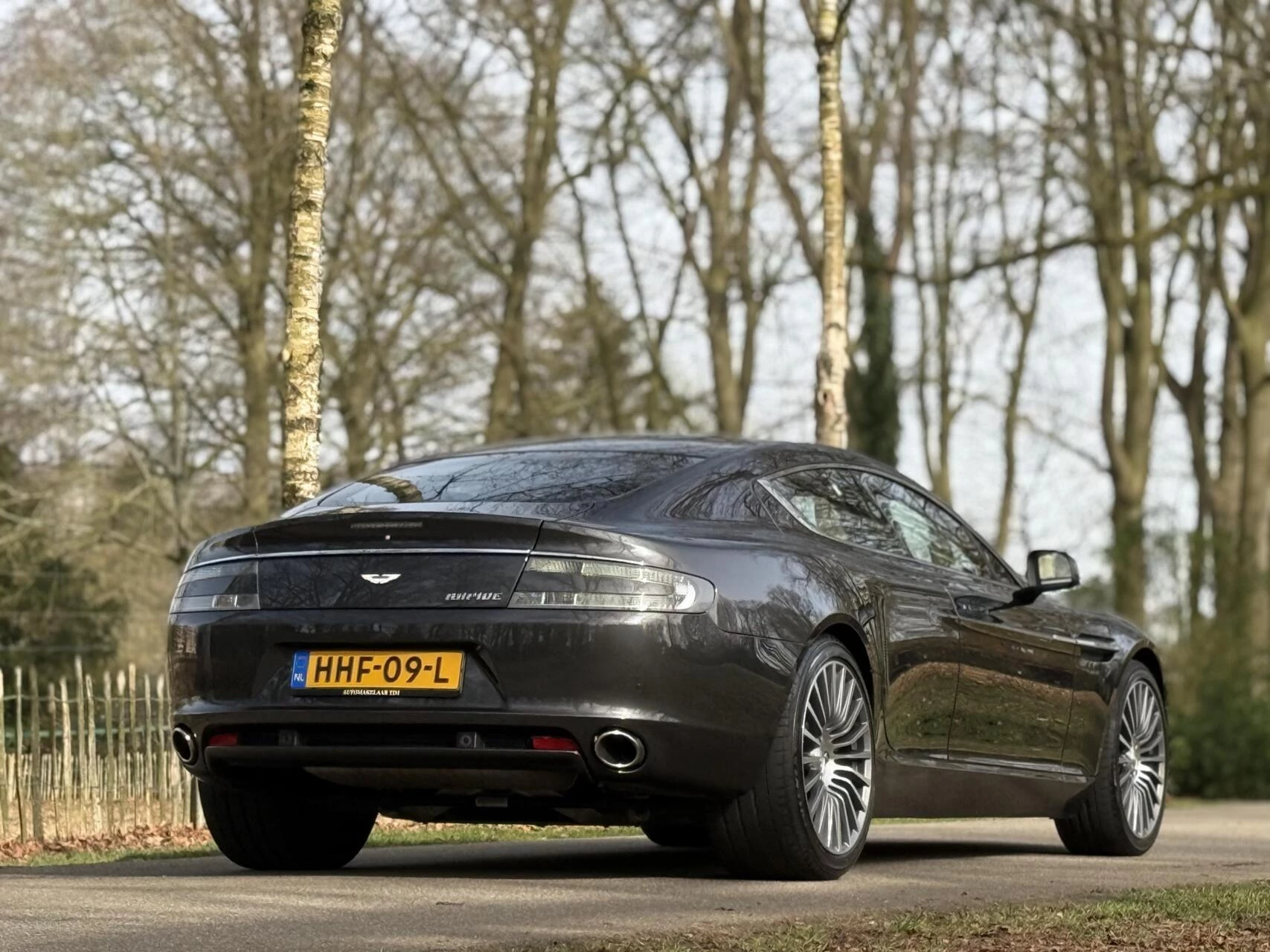 Hoofdafbeelding Aston Martin Rapide