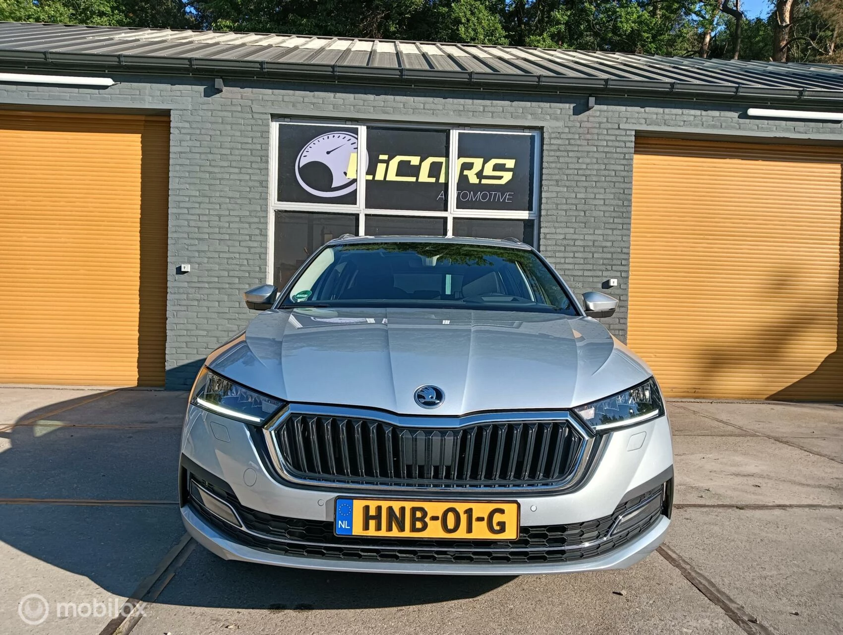 Hoofdafbeelding Škoda Octavia