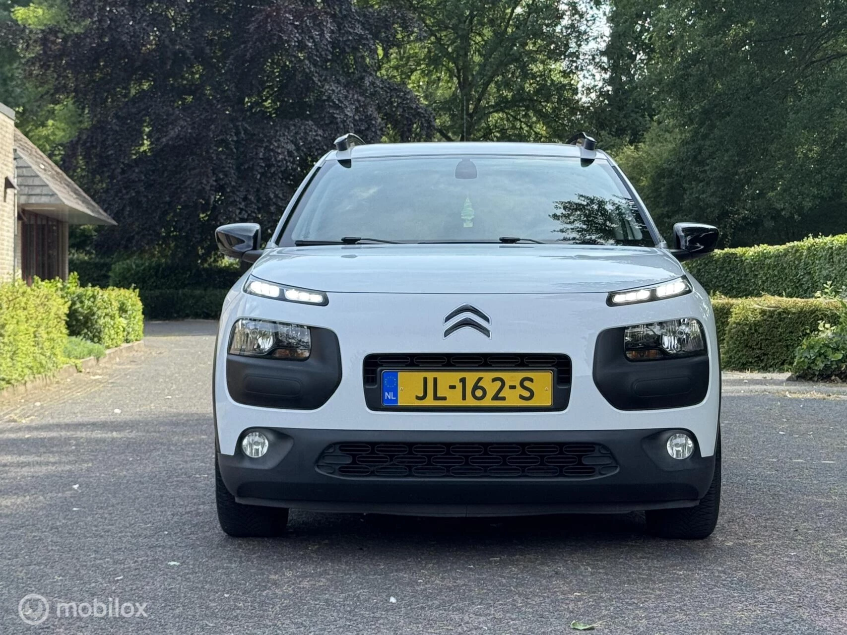 Hoofdafbeelding Citroën C4 Cactus