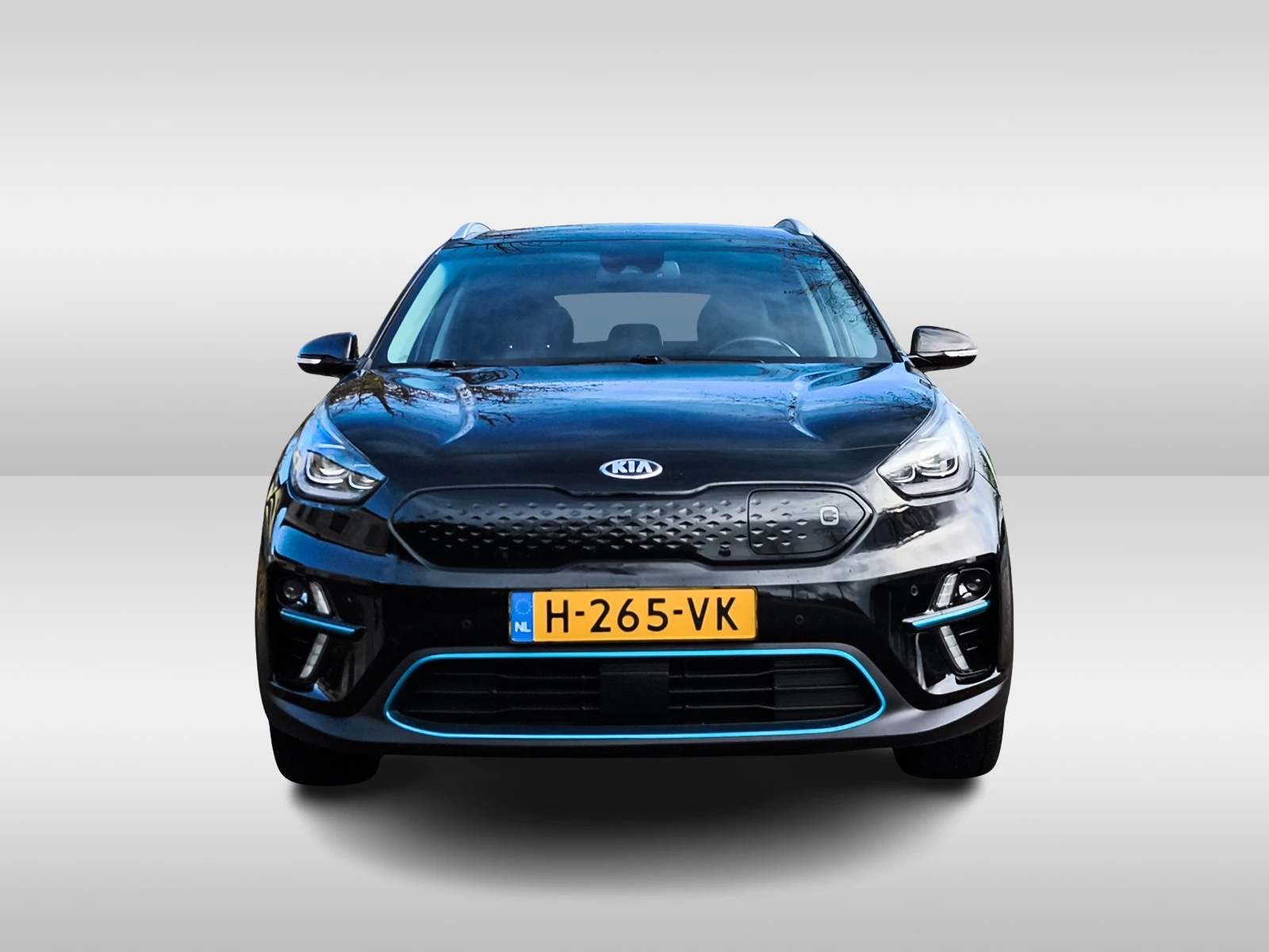 Hoofdafbeelding Kia e-Niro