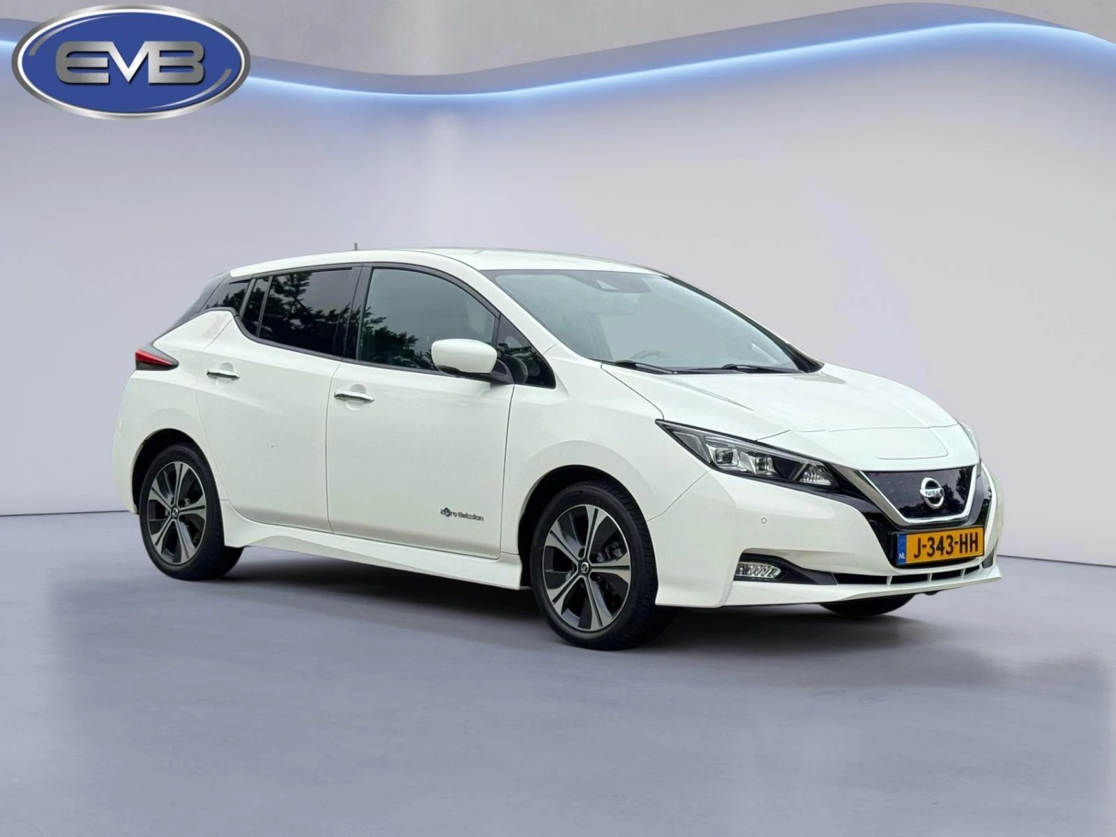 Hoofdafbeelding Nissan Leaf