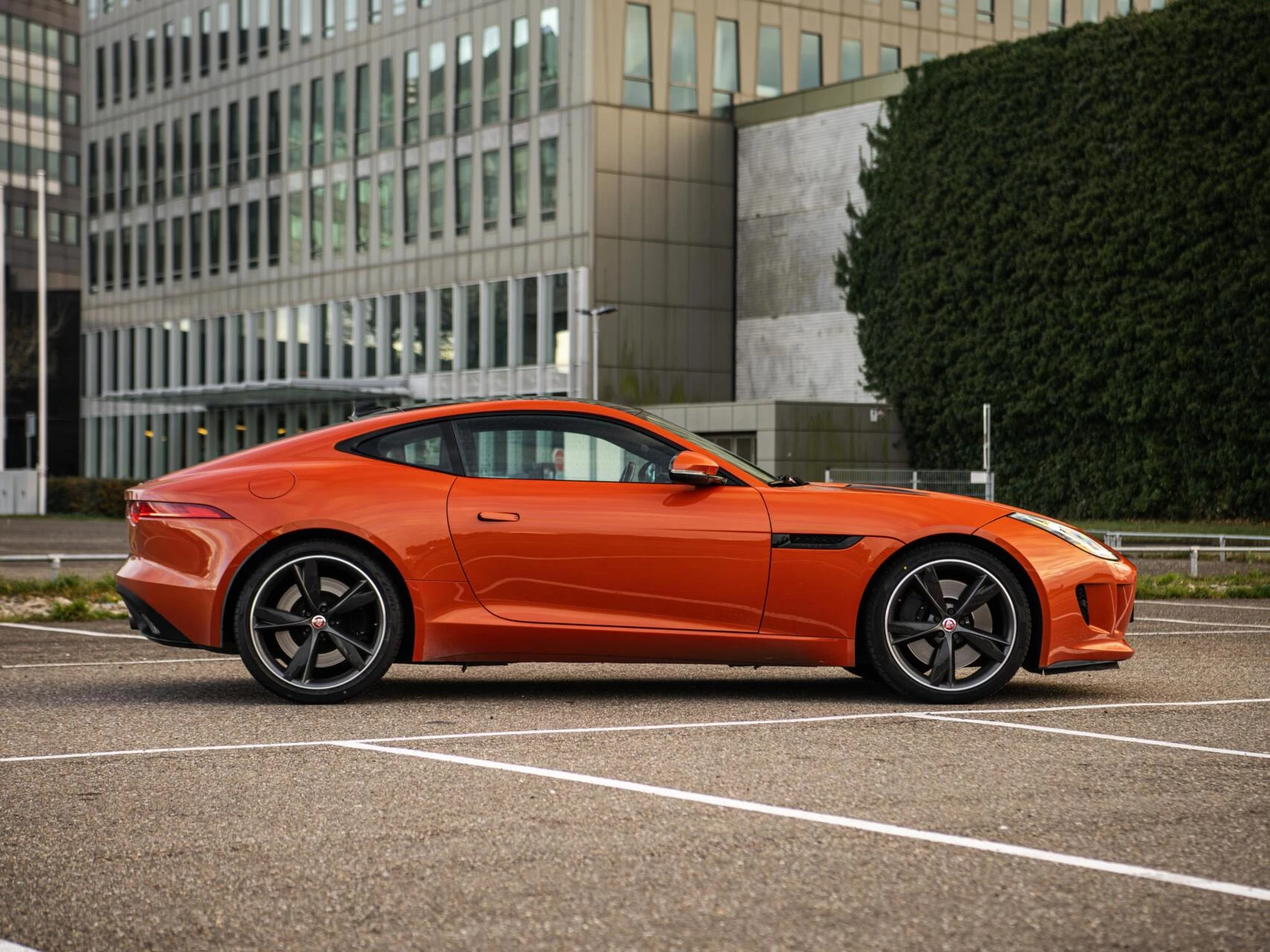 Hoofdafbeelding Jaguar F-Type