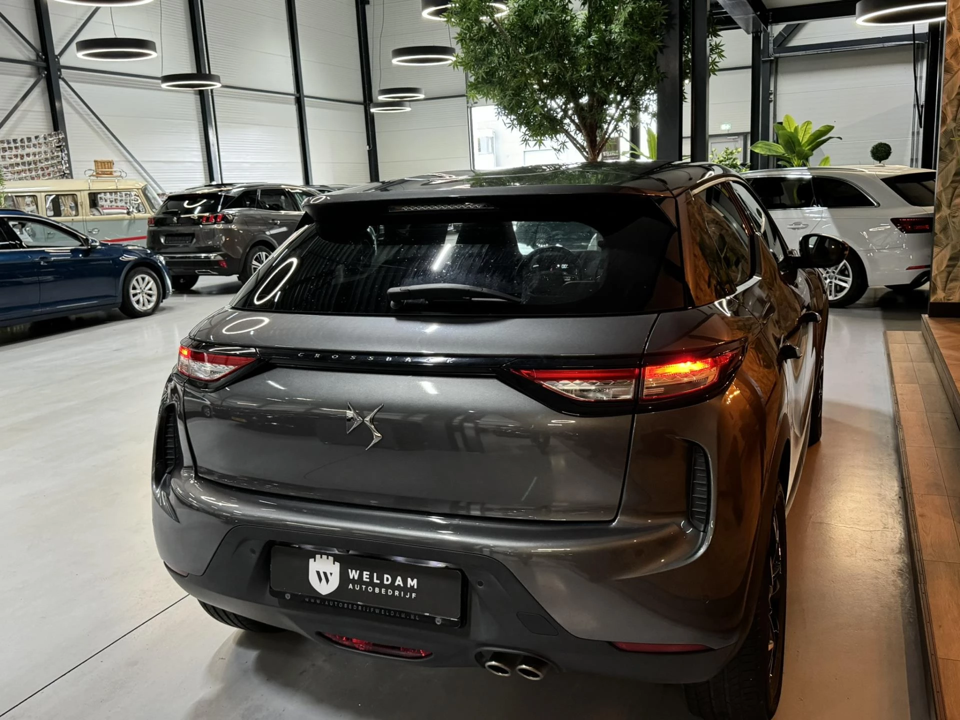Hoofdafbeelding DS DS 3
