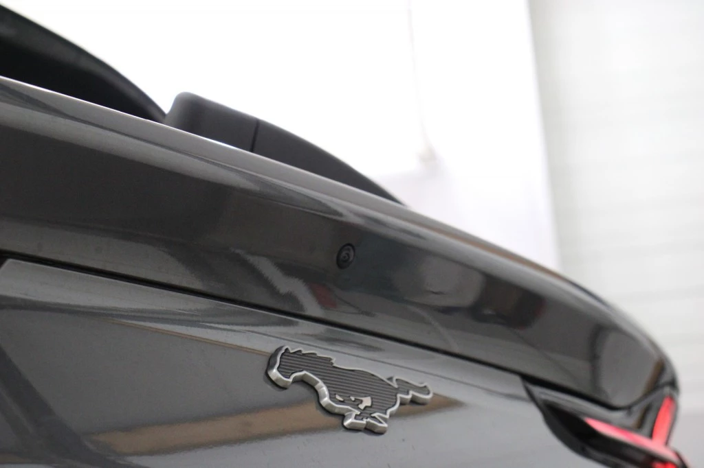 Hoofdafbeelding Ford Mustang Mach-E