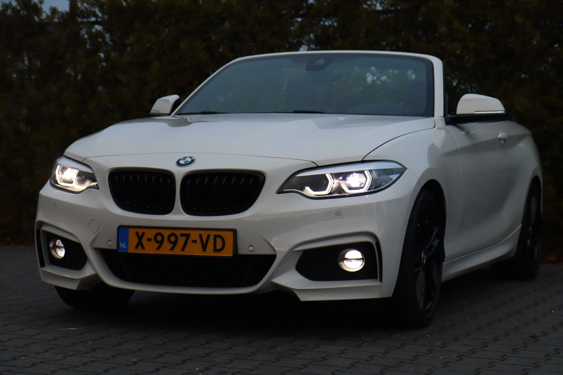 Hoofdafbeelding BMW 2 Serie