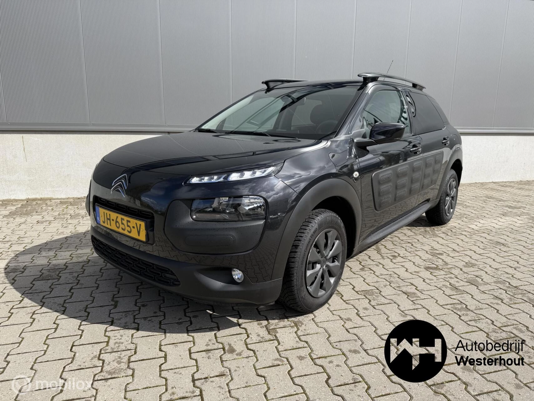 Hoofdafbeelding Citroën C4 Cactus
