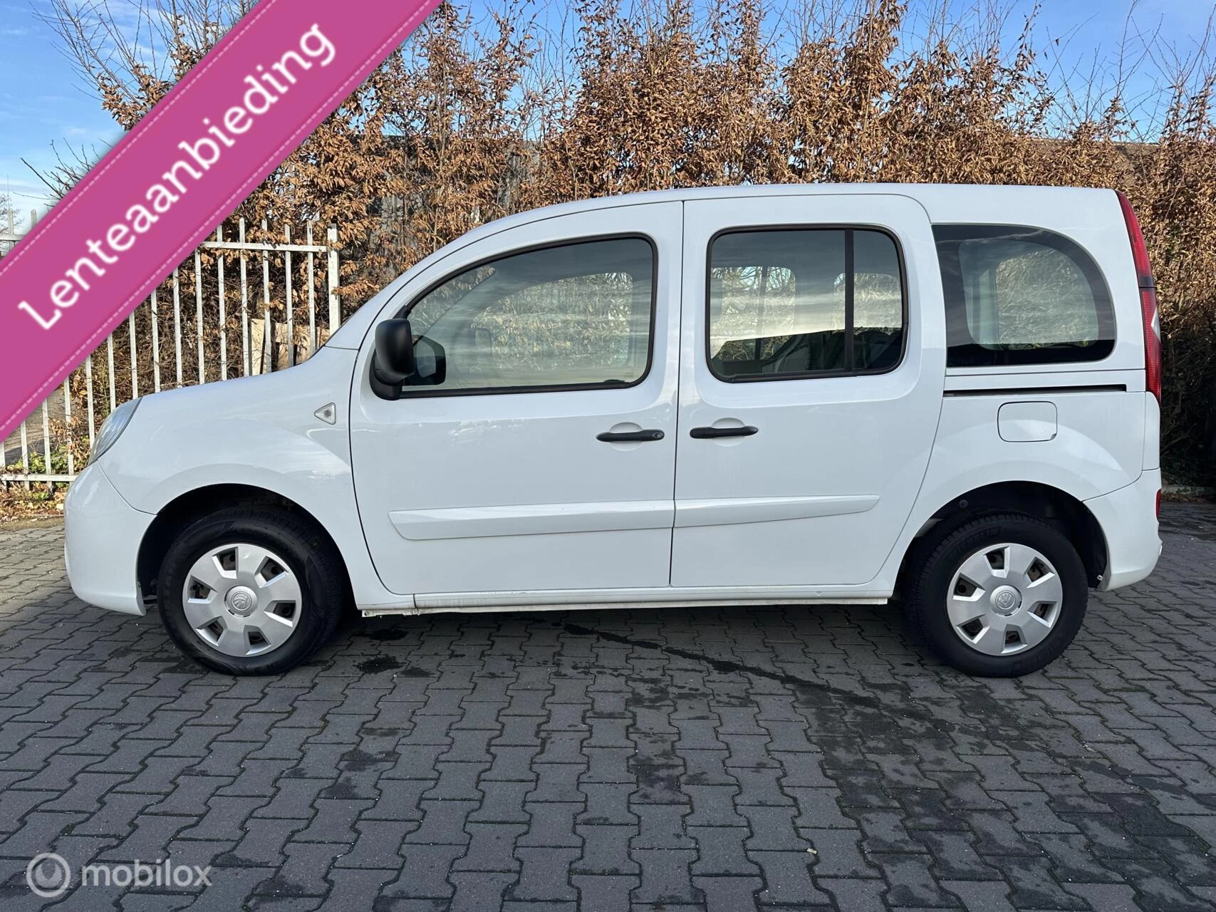 Hoofdafbeelding Renault Kangoo