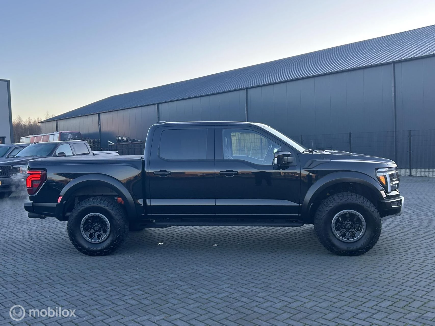 Hoofdafbeelding Ford Raptor