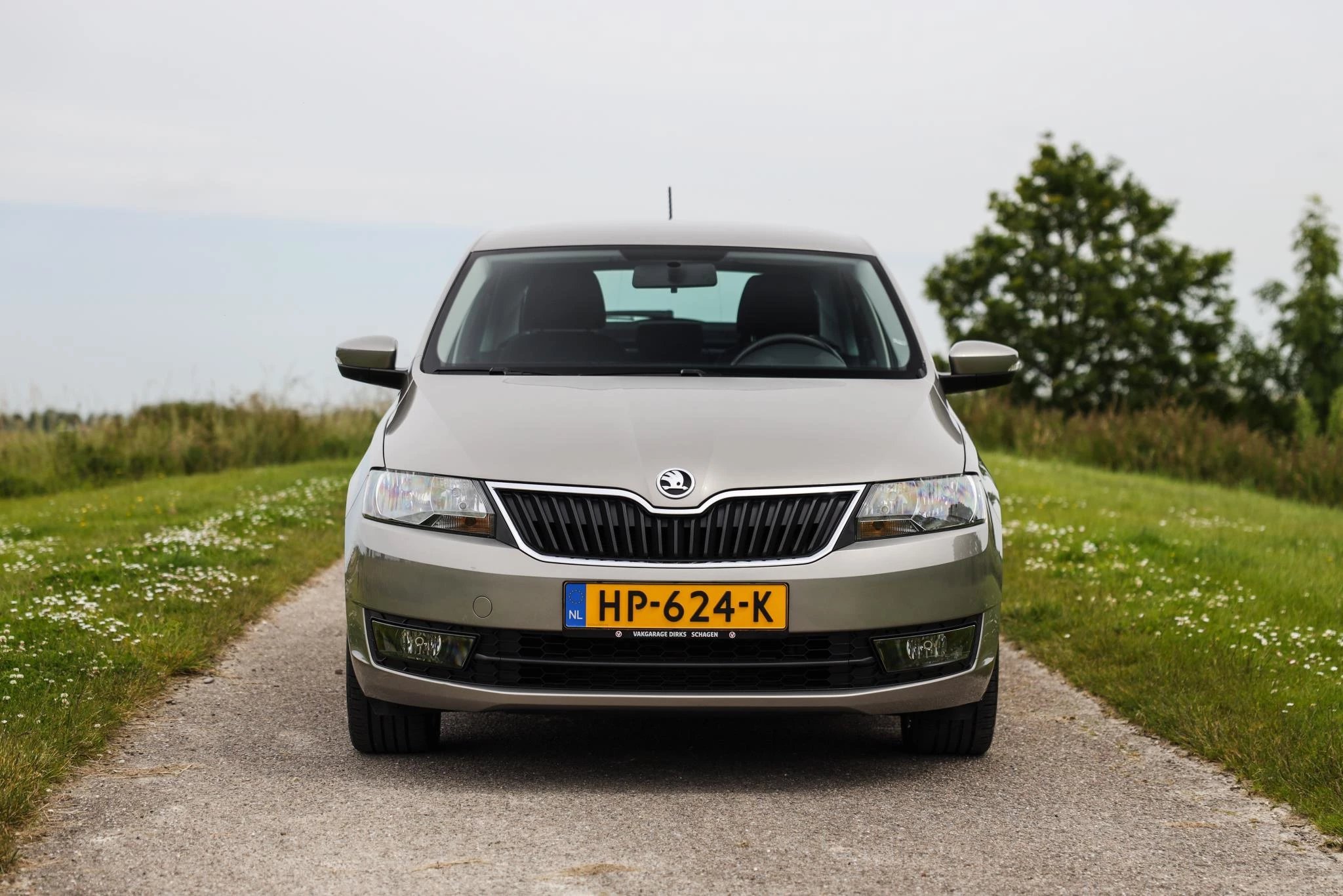 Hoofdafbeelding Škoda Rapid