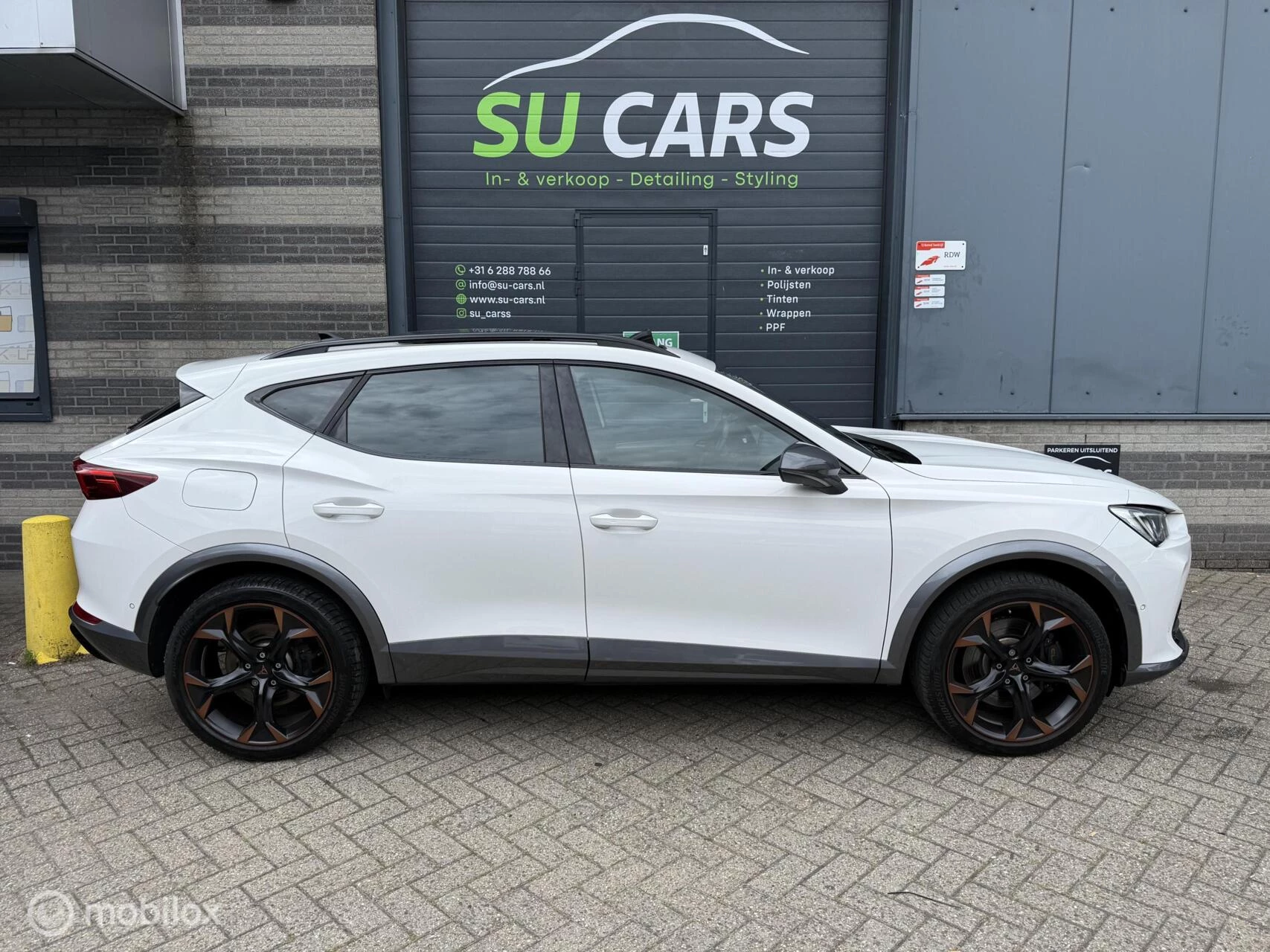 Hoofdafbeelding CUPRA Formentor