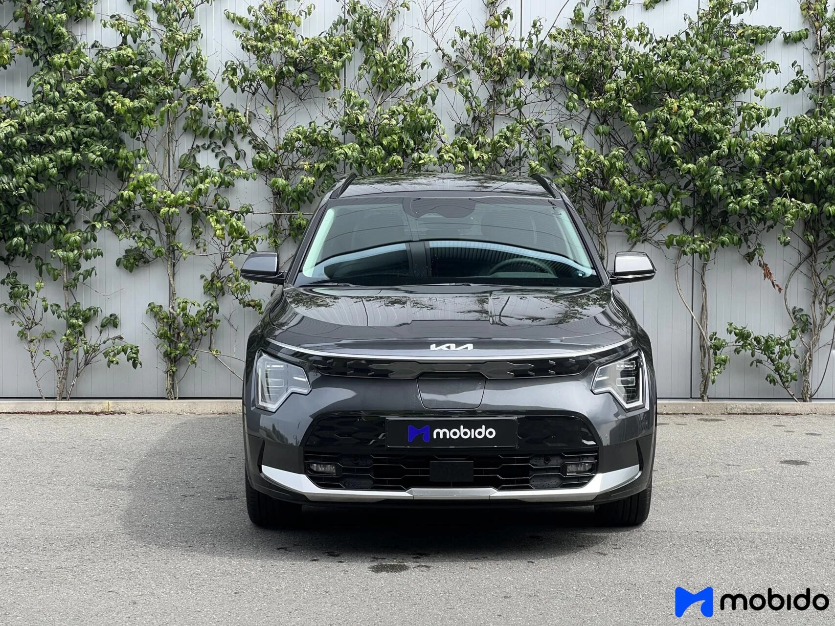 Hoofdafbeelding Kia Niro EV