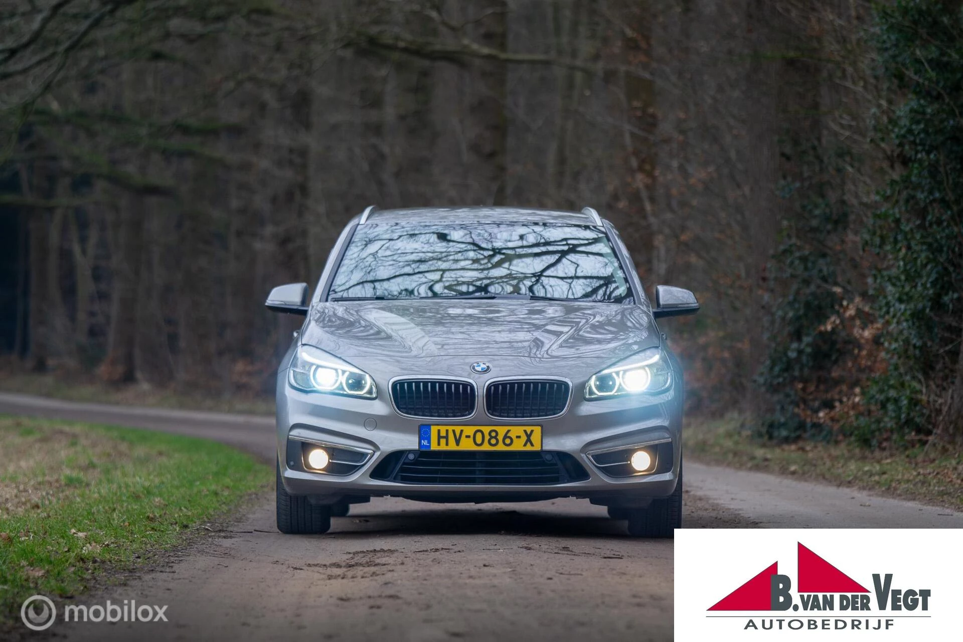 Hoofdafbeelding BMW 2 Serie