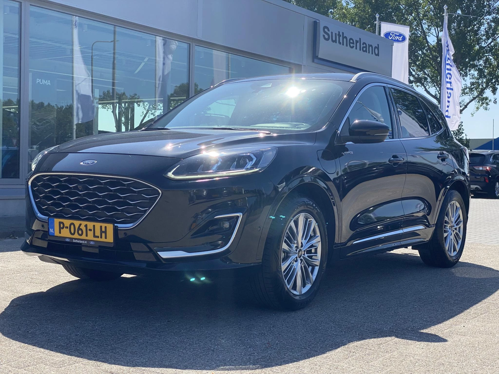 Hoofdafbeelding Ford Kuga