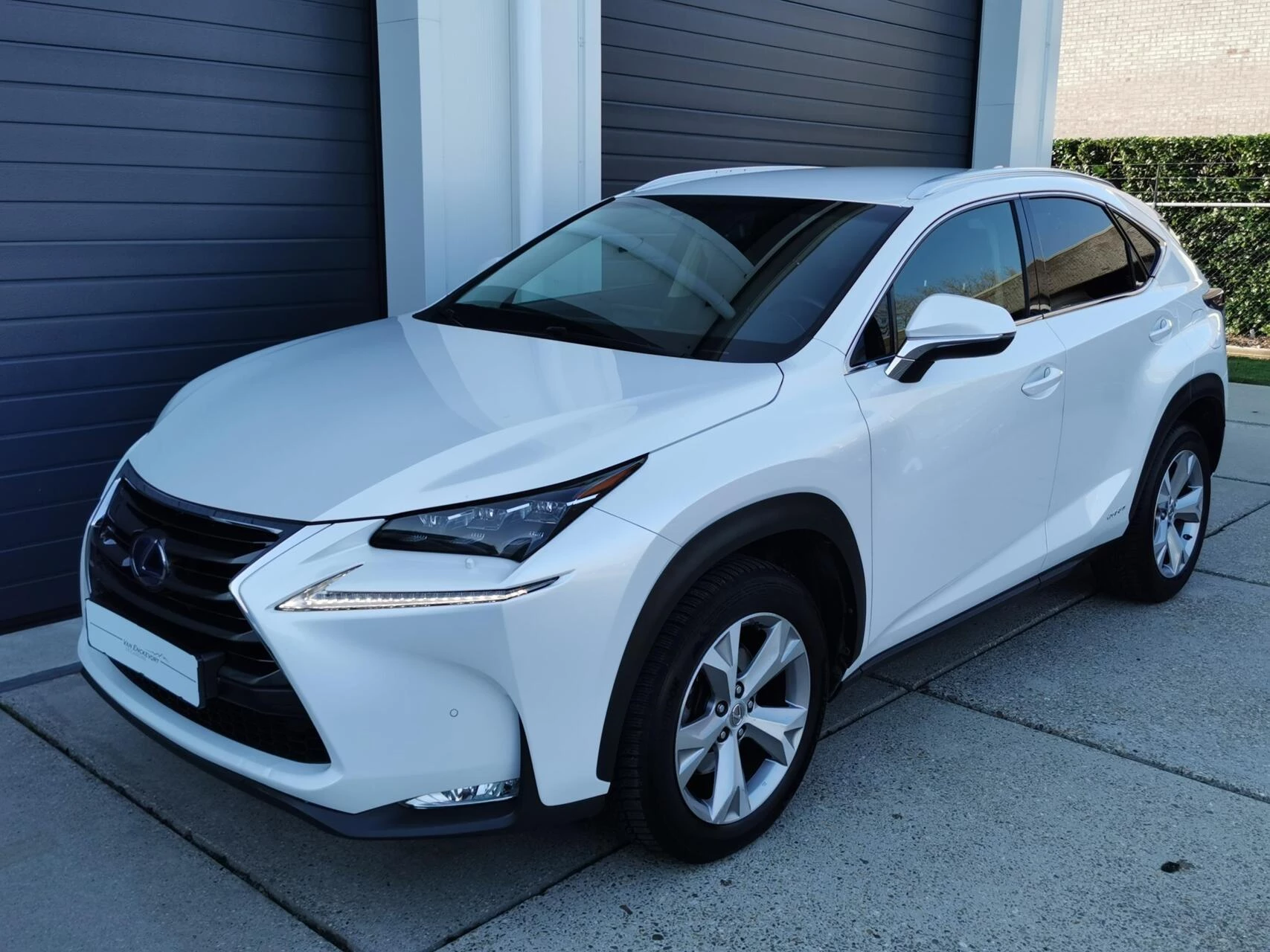 Hoofdafbeelding Lexus NX
