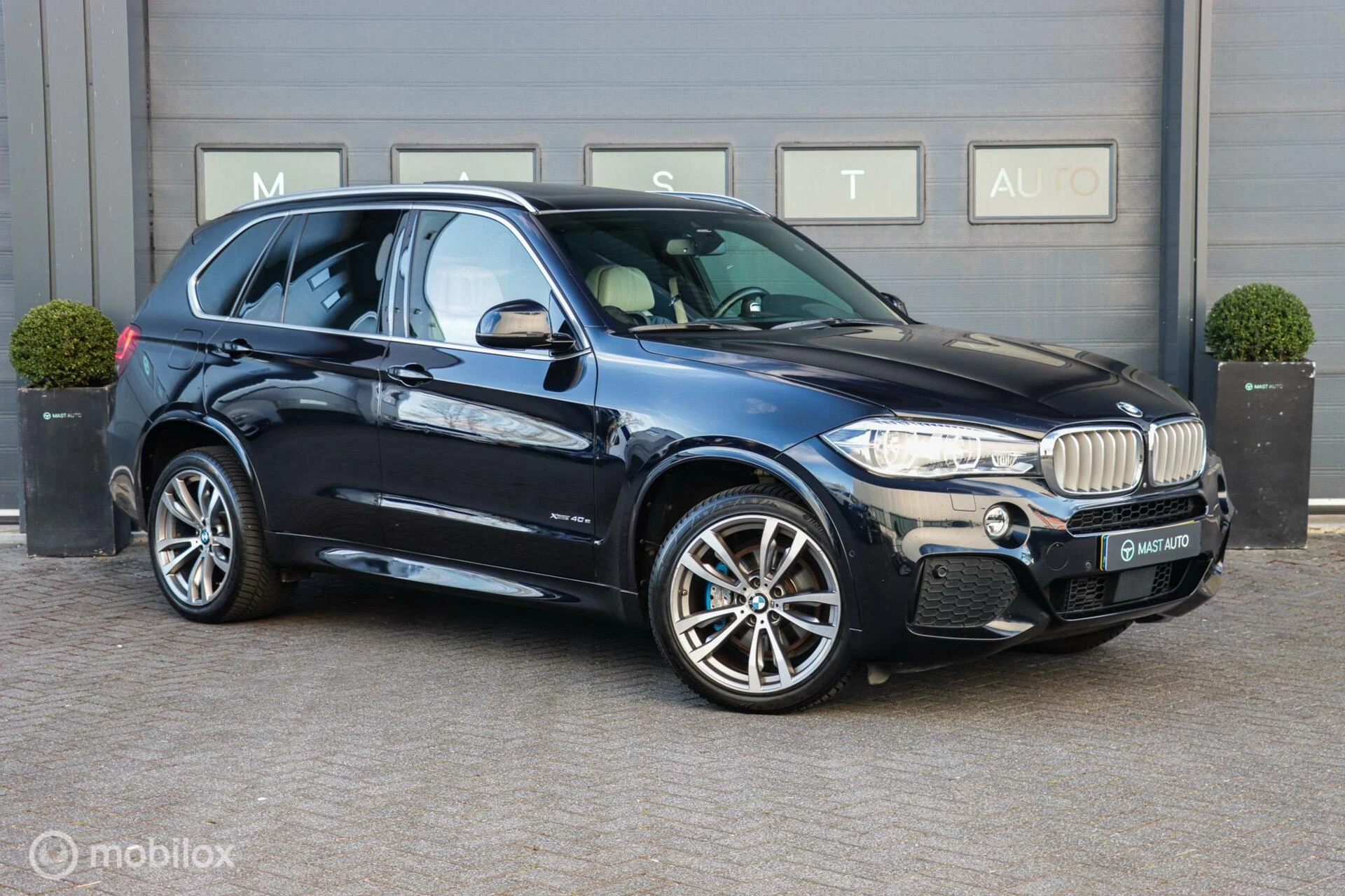 Hoofdafbeelding BMW X5