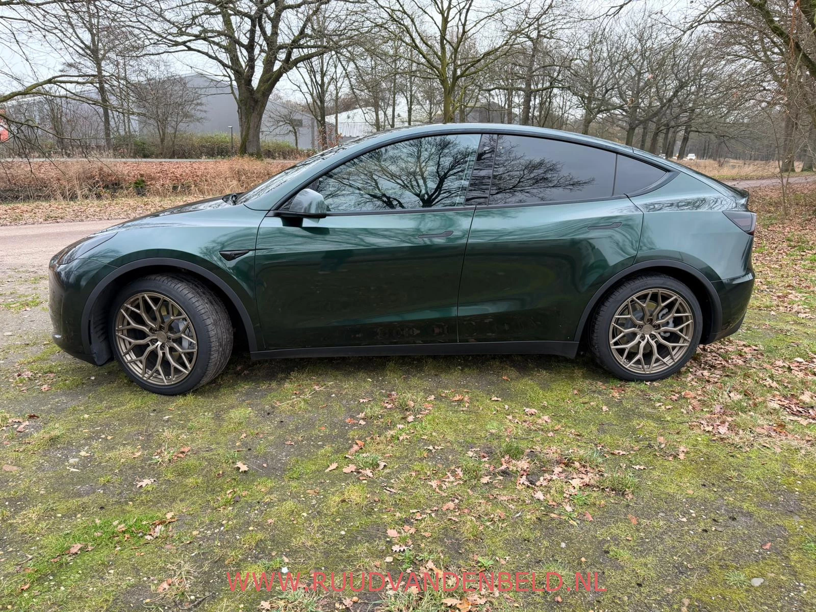 Hoofdafbeelding Tesla Model Y