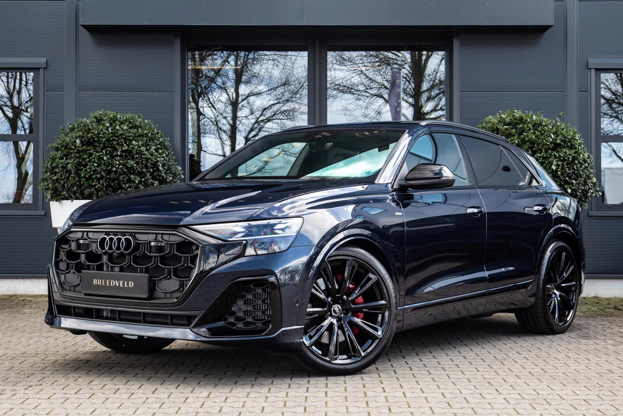 Hoofdafbeelding Audi Q8