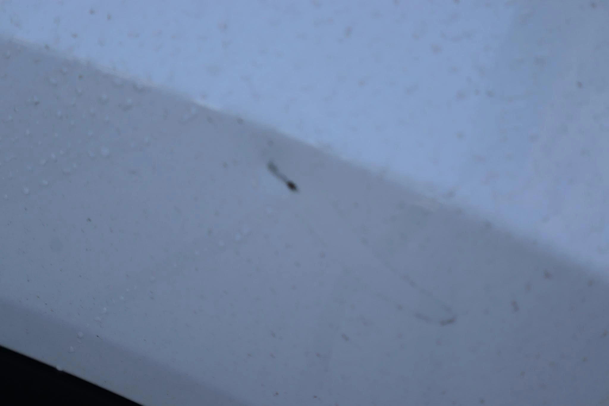 Hoofdafbeelding Citroën ë-C4