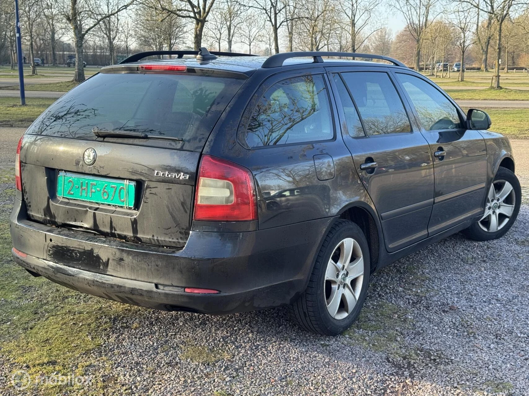 Hoofdafbeelding Škoda Octavia