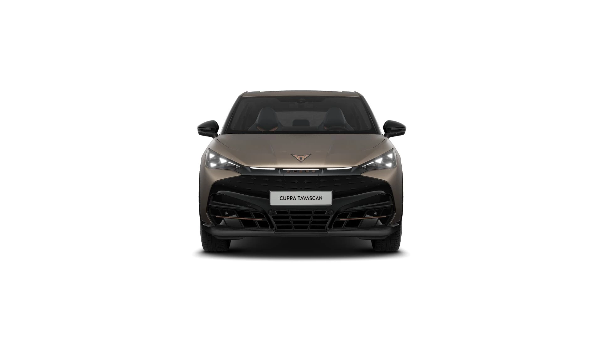Hoofdafbeelding CUPRA Tavascan
