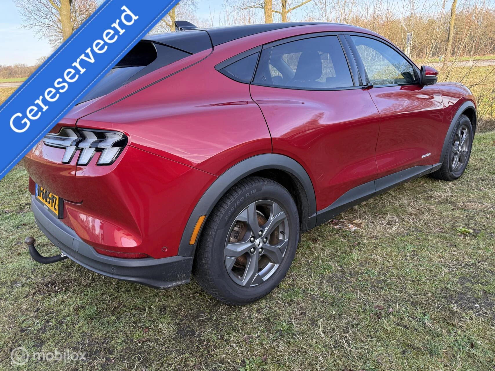 Hoofdafbeelding Ford Mustang Mach-E