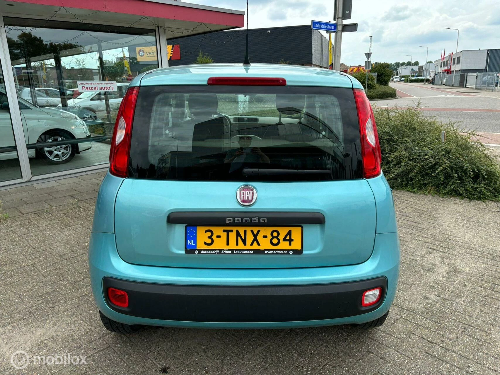 Hoofdafbeelding Fiat Panda