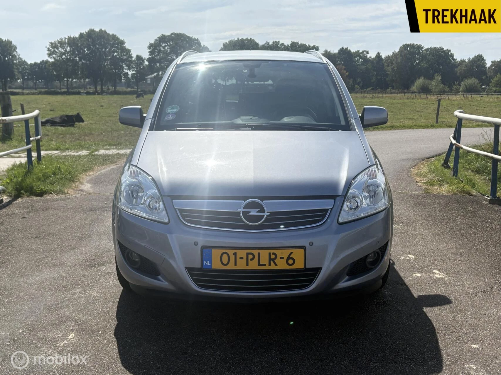 Hoofdafbeelding Opel Zafira