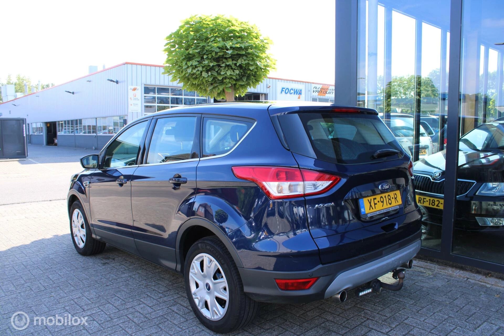 Hoofdafbeelding Ford Kuga