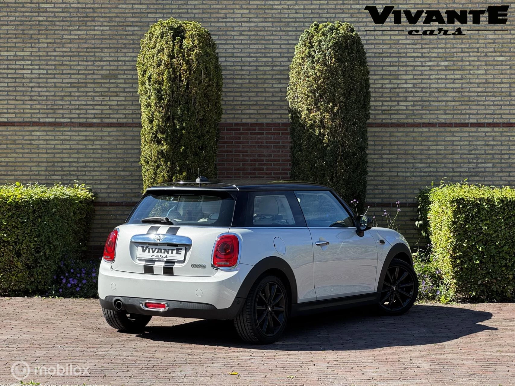 Hoofdafbeelding MINI Cooper