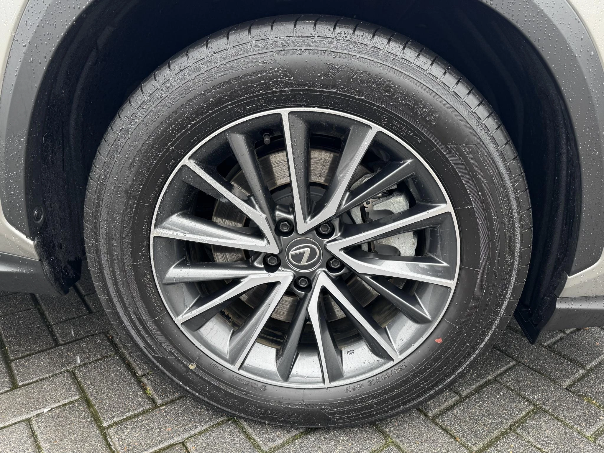 Hoofdafbeelding Lexus NX