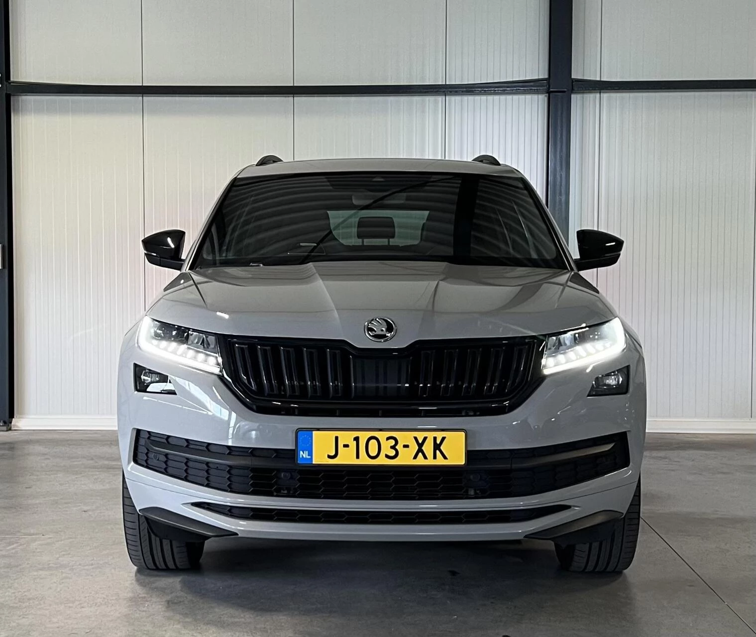 Hoofdafbeelding Škoda Kodiaq
