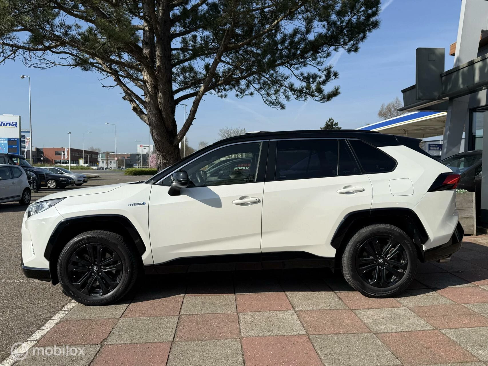 Hoofdafbeelding Toyota RAV4