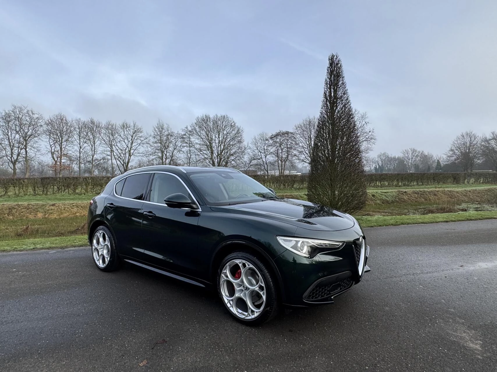 Hoofdafbeelding Alfa Romeo Stelvio