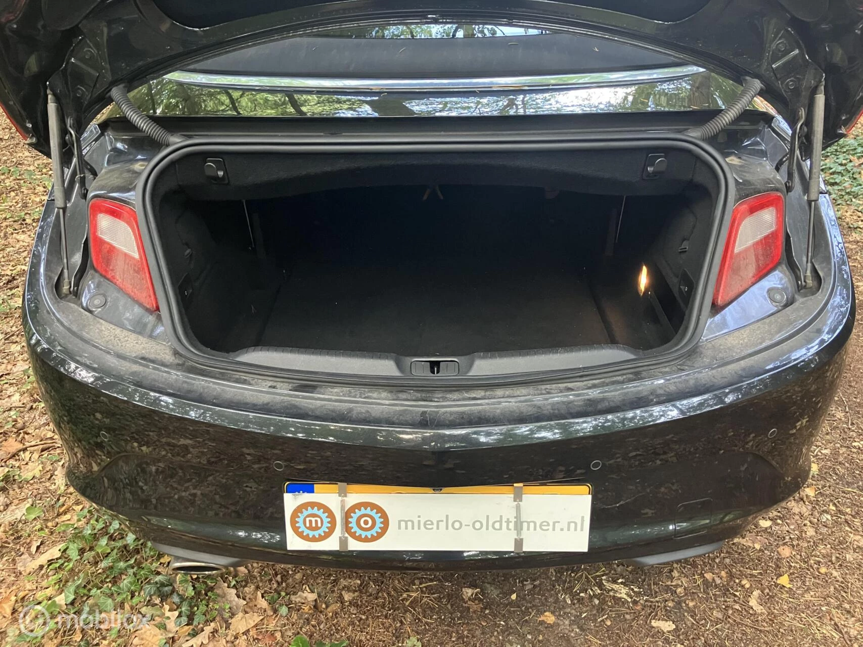 Hoofdafbeelding Opel Cascada