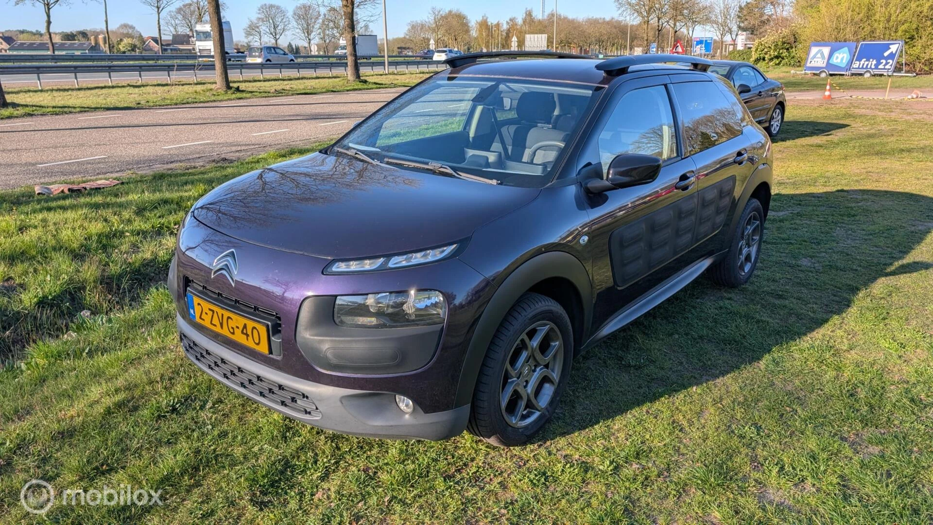 Hoofdafbeelding Citroën C4 Cactus
