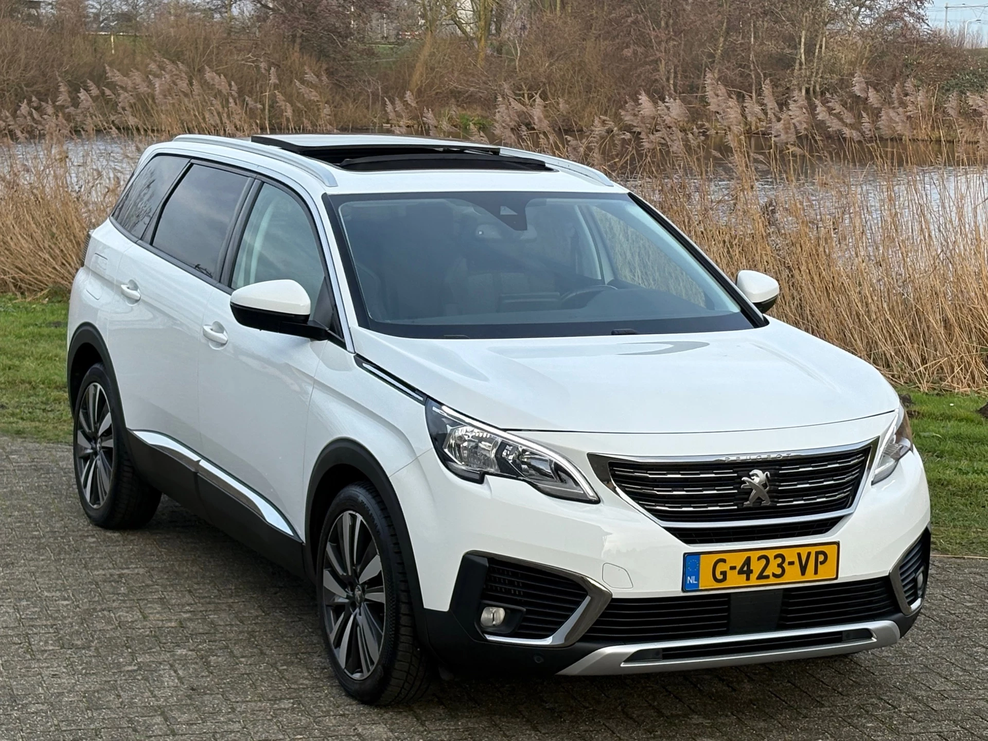 Hoofdafbeelding Peugeot 5008