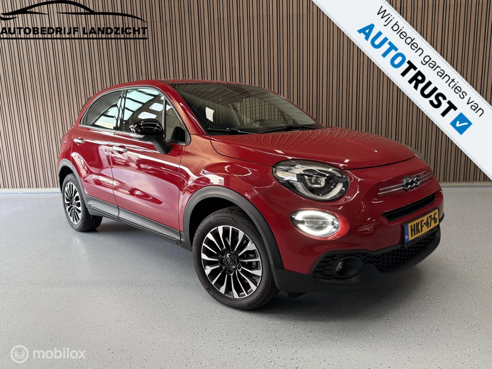 Hoofdafbeelding Fiat 500X
