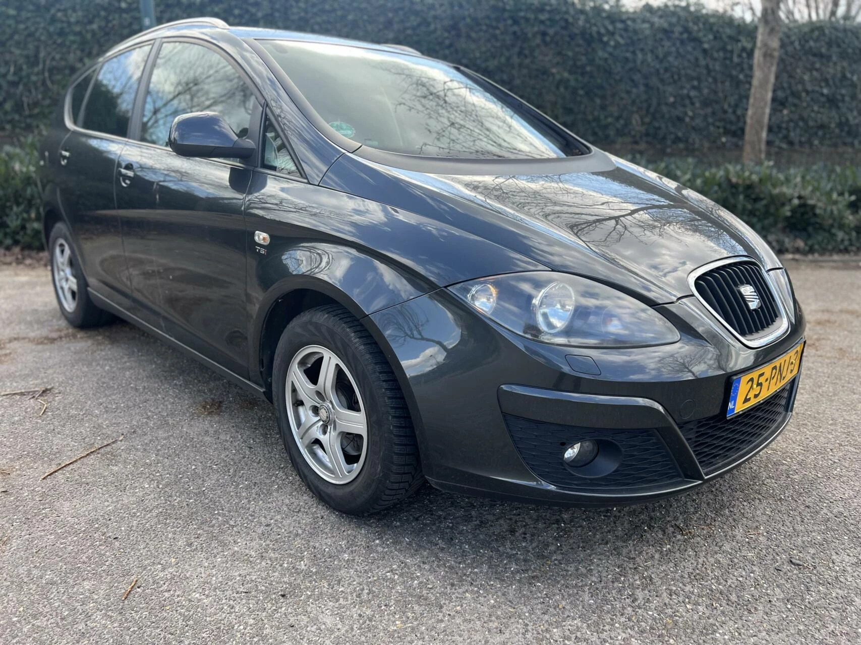 Hoofdafbeelding SEAT Altea XL