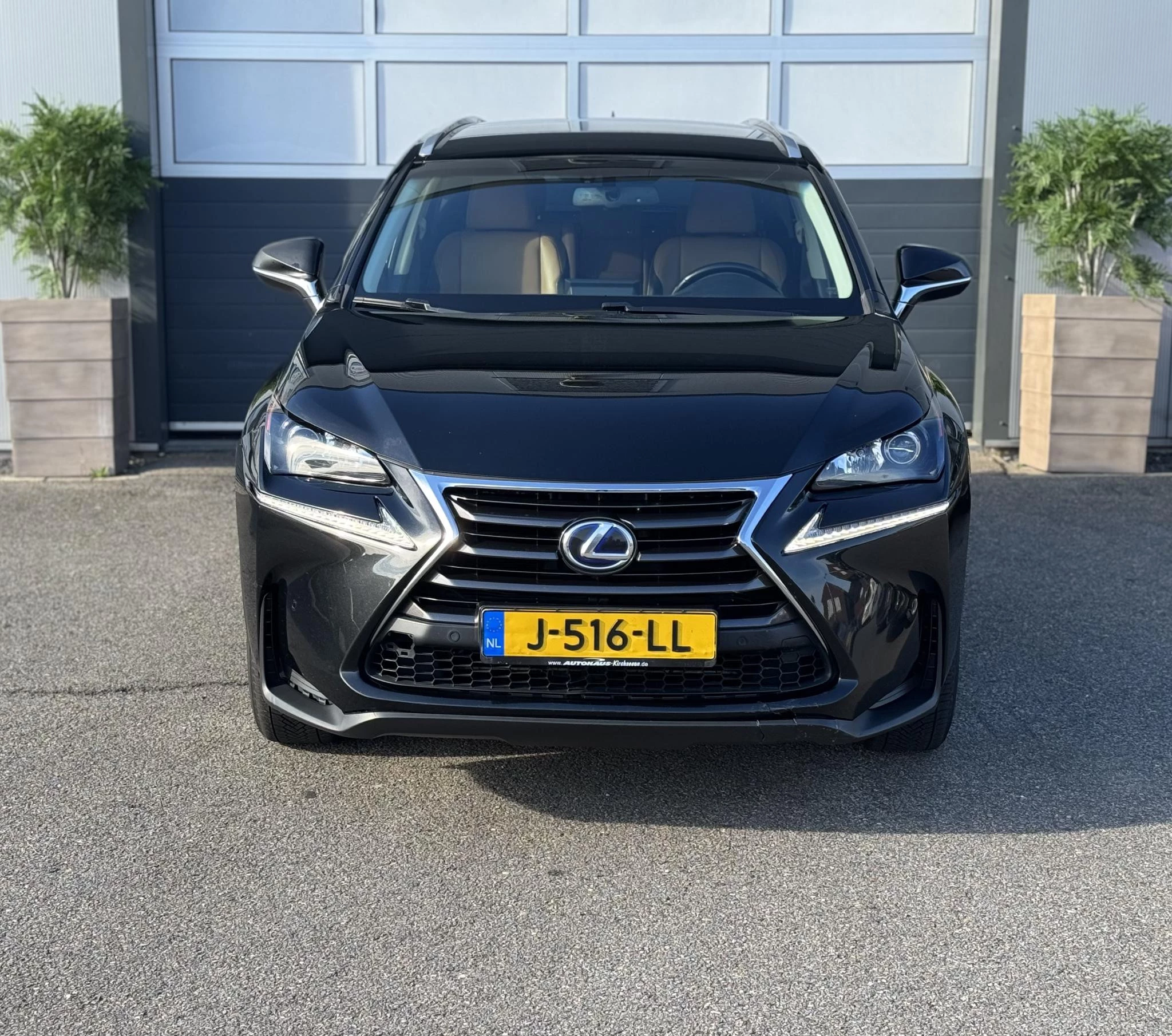 Hoofdafbeelding Lexus NX