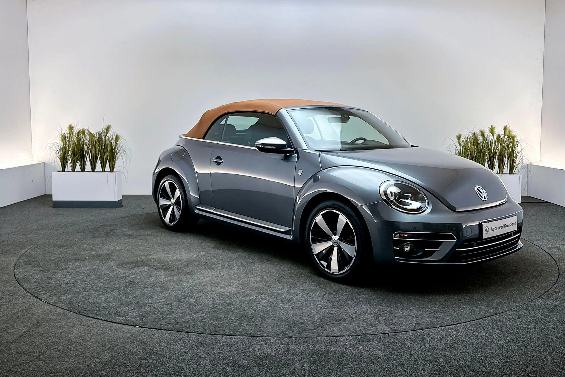 Hoofdafbeelding Volkswagen Beetle