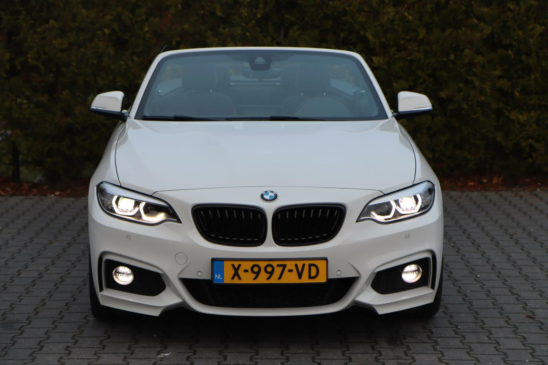 Hoofdafbeelding BMW 2 Serie