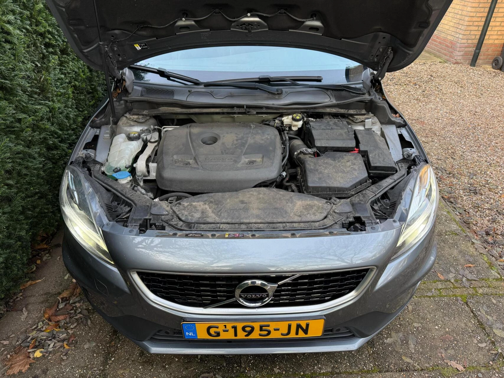 Hoofdafbeelding Volvo V40