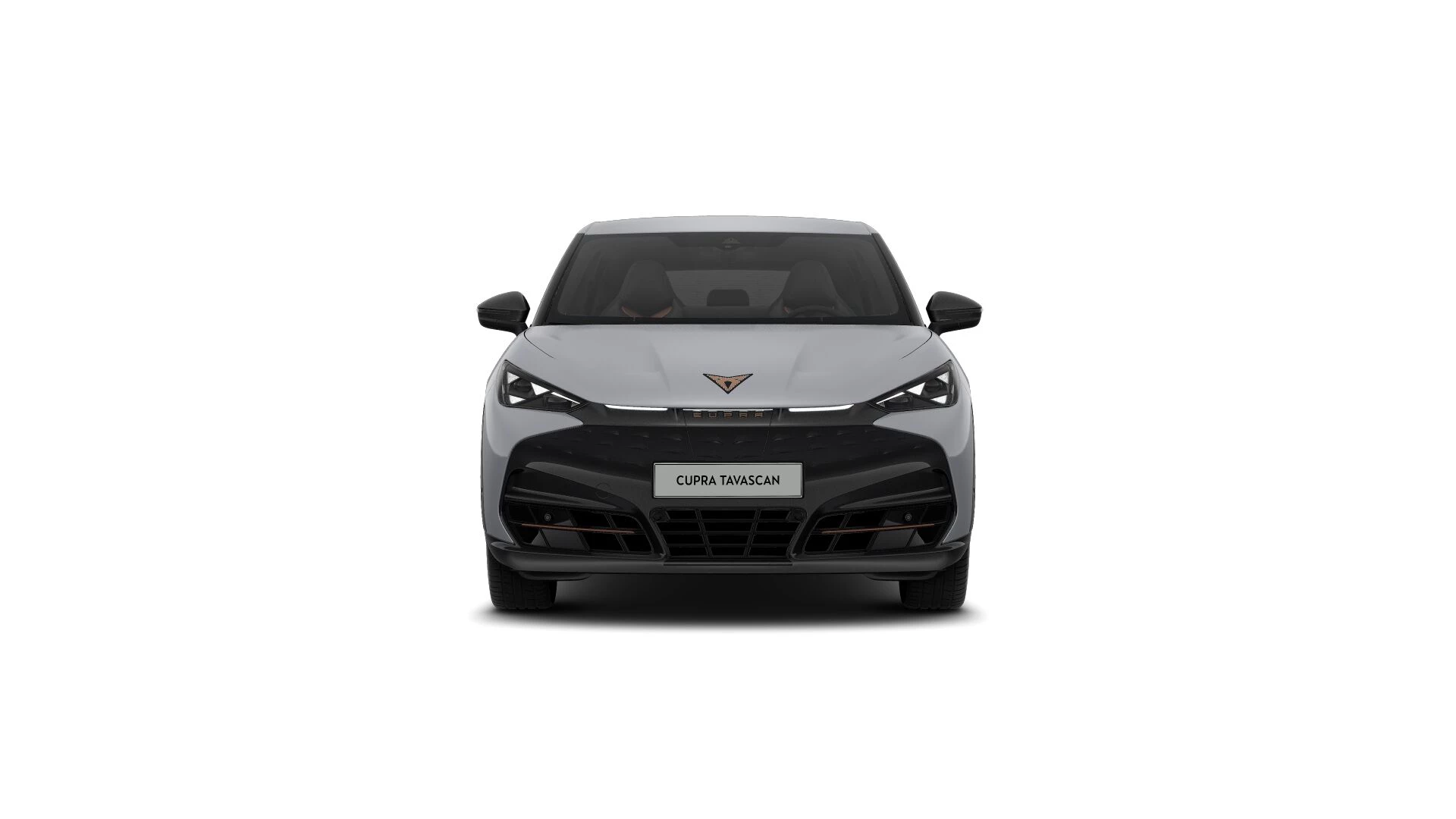 Hoofdafbeelding CUPRA Tavascan