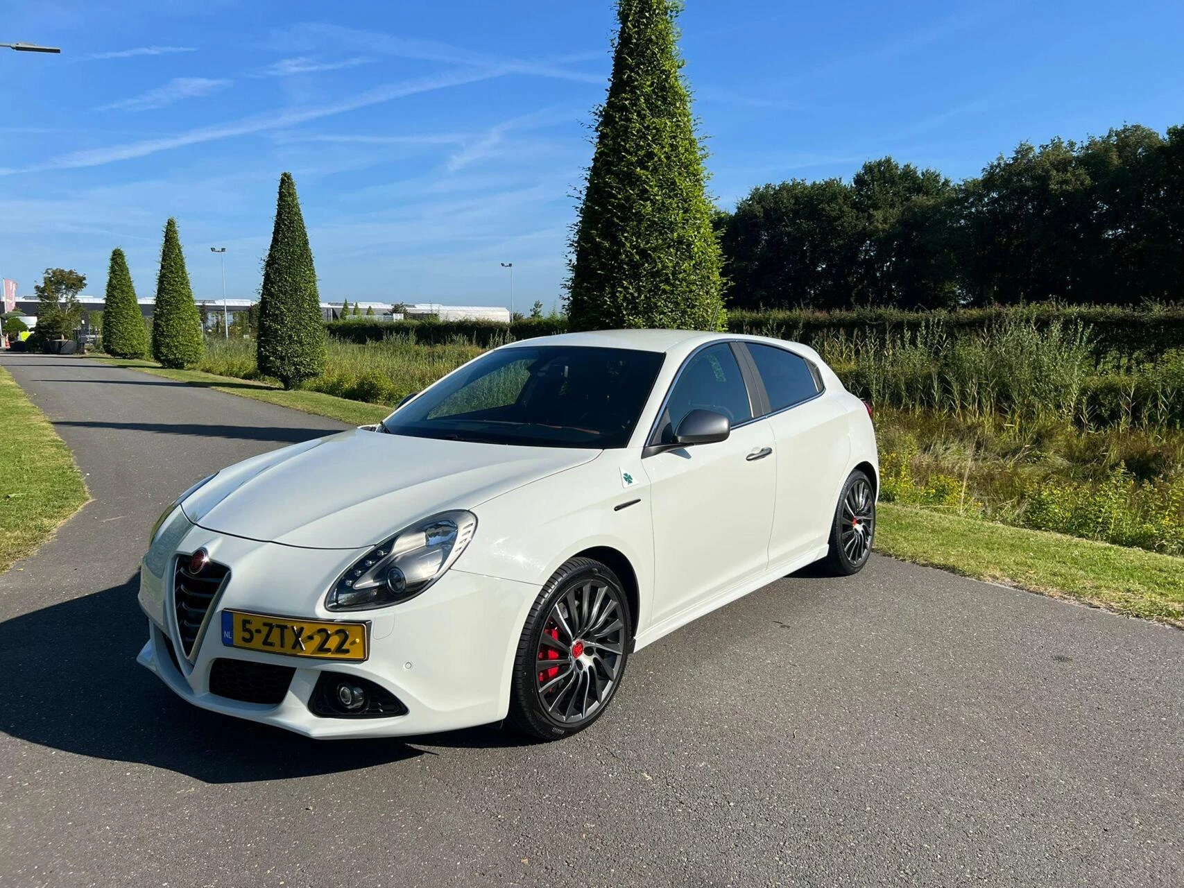 Hoofdafbeelding Alfa Romeo Giulietta