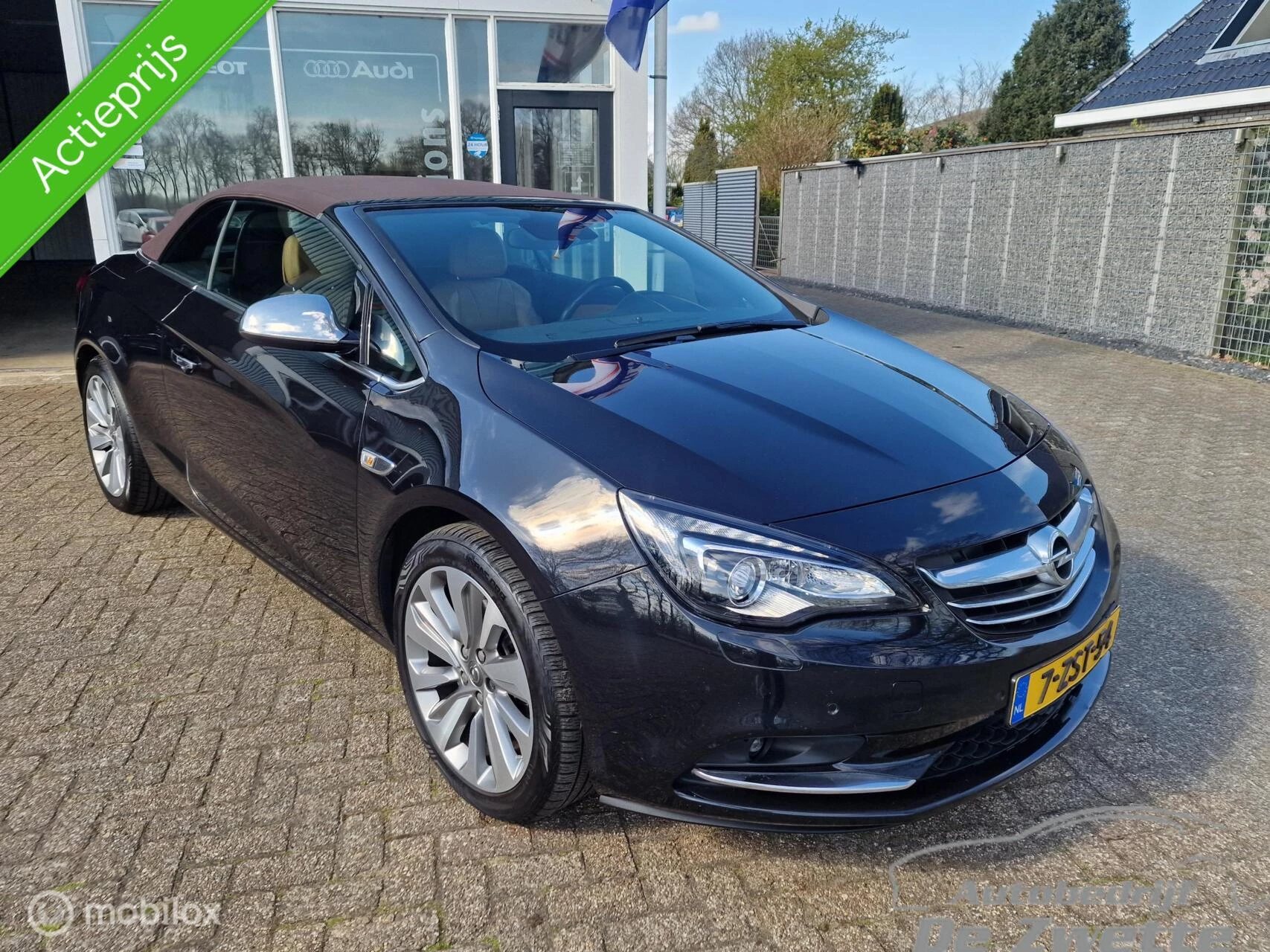 Hoofdafbeelding Opel Cascada