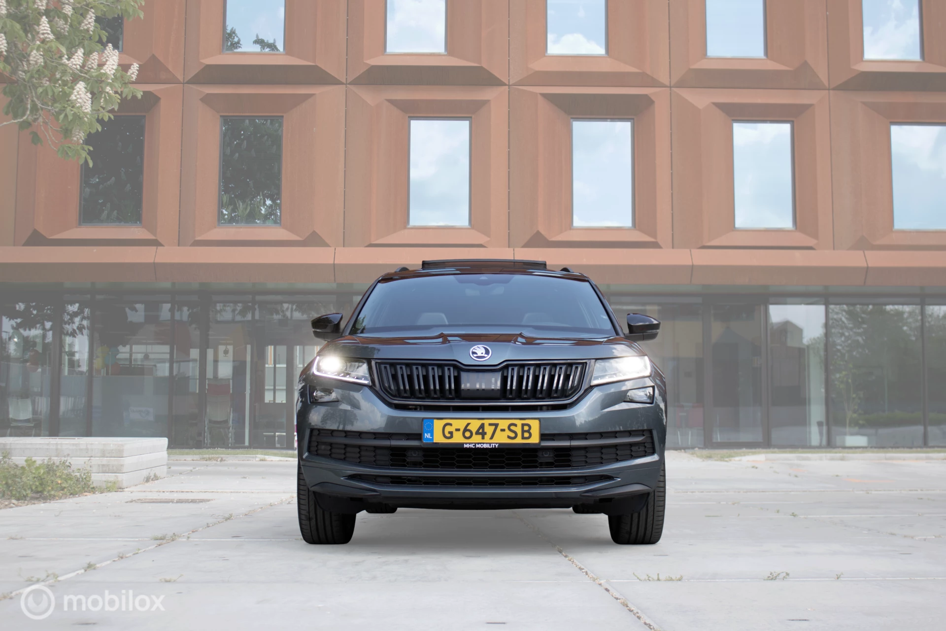 Hoofdafbeelding Škoda Kodiaq